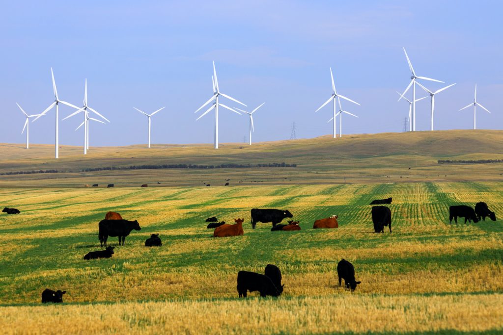 Wind Turbine Renewable Energy Alberta