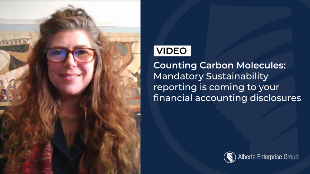 VIDEO Counting Carbon Molecules : Mandatory Sustainability reporting is coming to your financial accounting disclosures